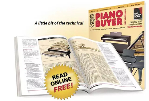 初学者买什么钢琴合适，性价比高的品牌钢琴有哪些？