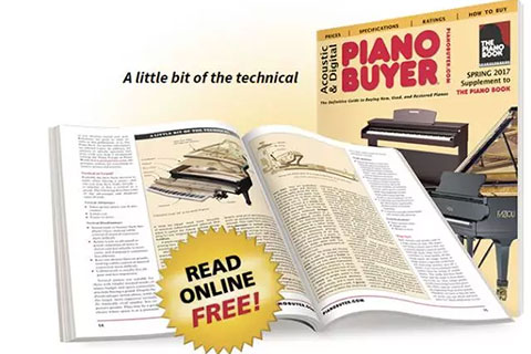 piano buyer